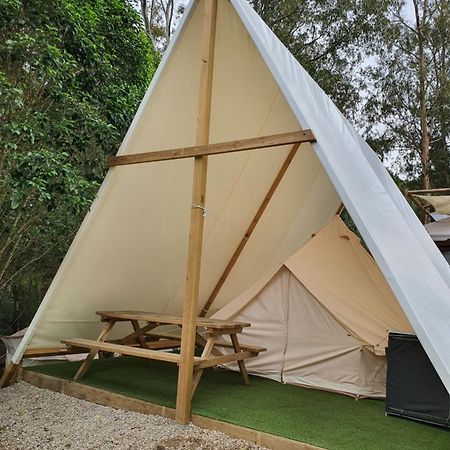 Bungalows Y Glamping Medina Sidonia Extérieur photo