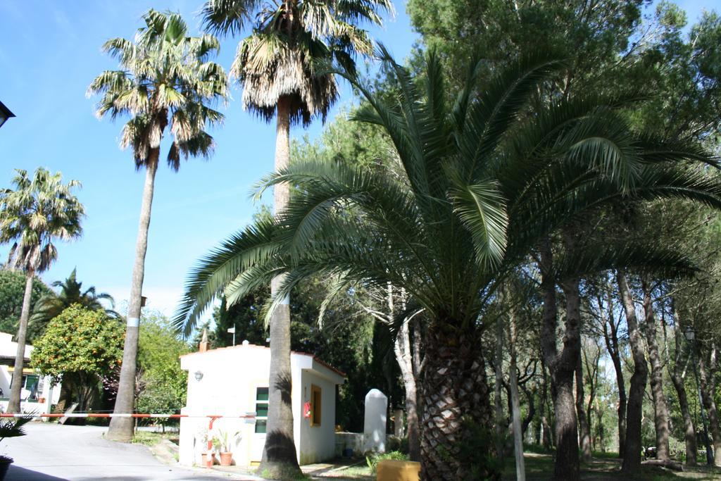 Bungalows Y Glamping Medina Sidonia Extérieur photo