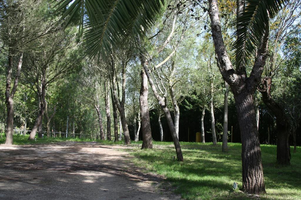 Bungalows Y Glamping Medina Sidonia Extérieur photo